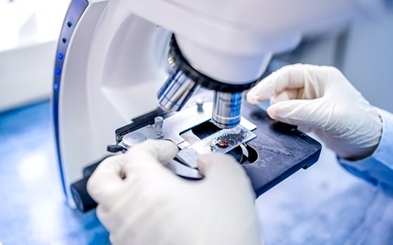 Healthcare Sector - scientist with microscope