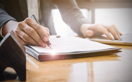 Regulatory Sector - Person Reviewing Paperwork