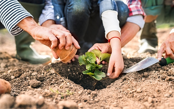 Charity sector webinar