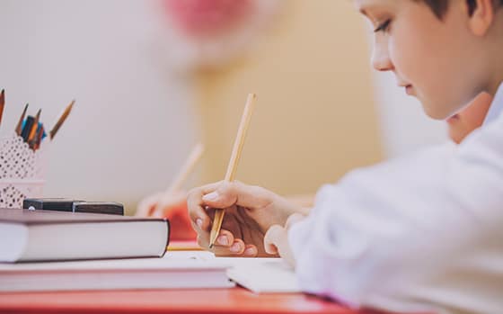 Education sector - pupil in school