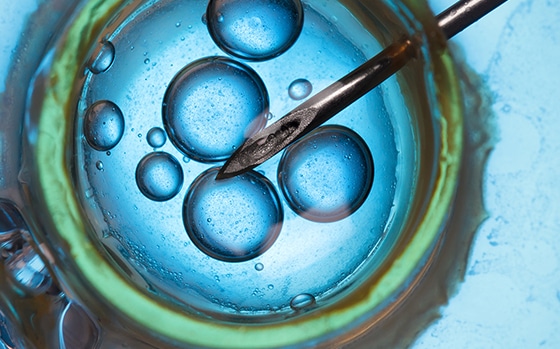 Life Sciences Sector