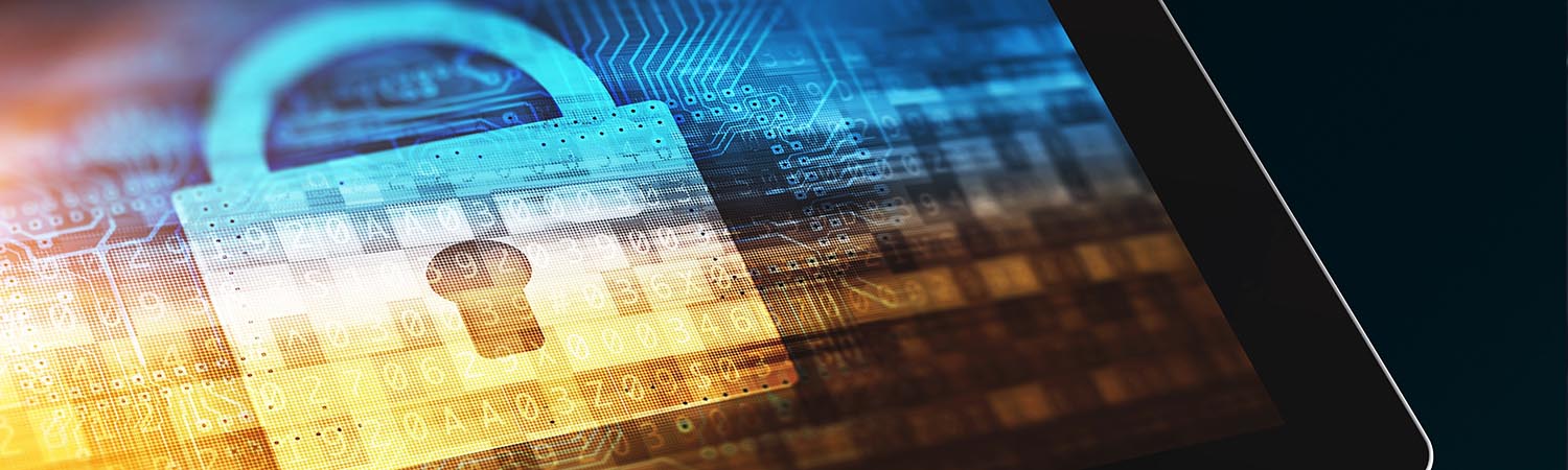 Data protection and online security